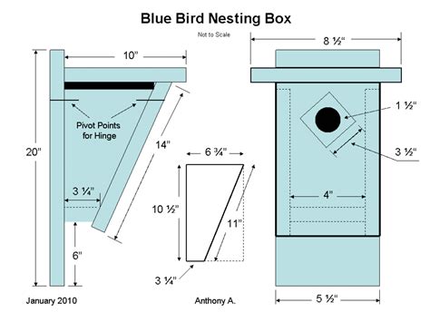 bluebird house hole size